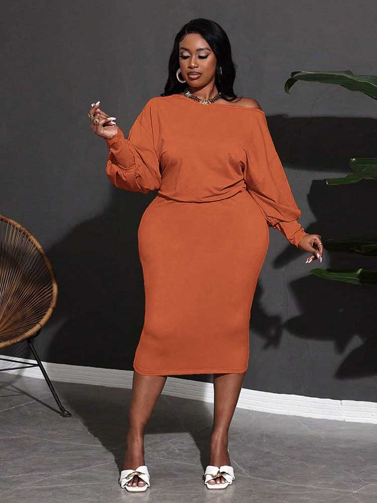 Autumn and Winter Dresses Plus - Winter Clothing Plus Size 评论和价格