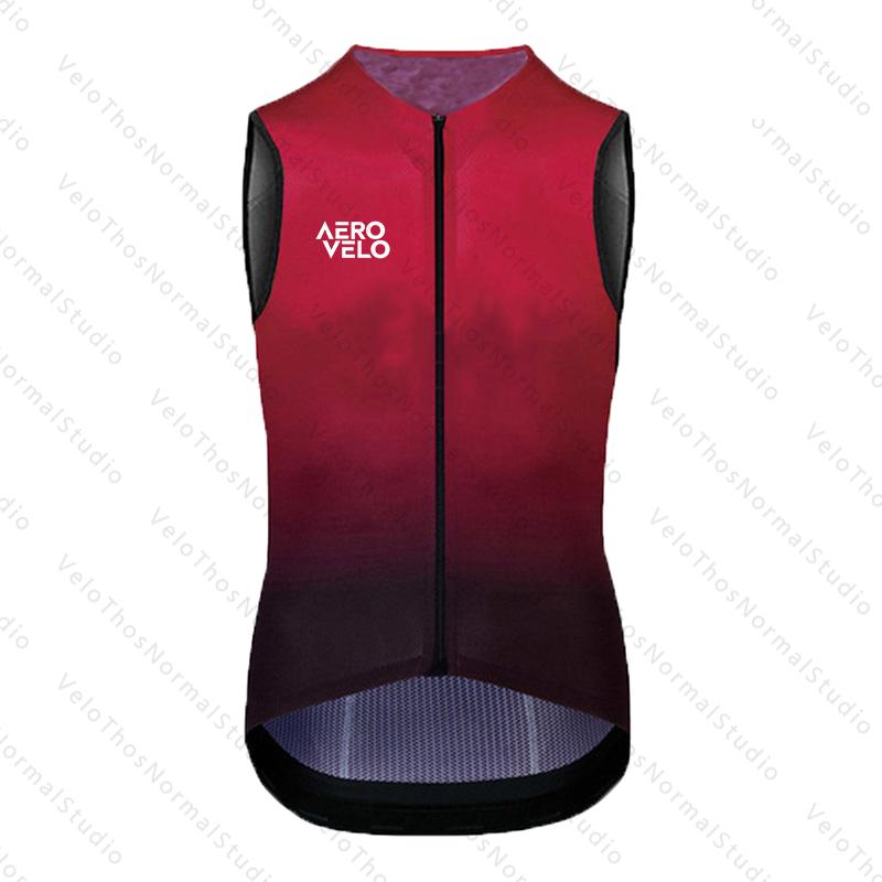 2026 AERO Cycling Vest Windpro - Padded Vest Gilet 评论和价格